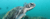 Imagem do banner rotativo 4