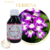 ESSÊNCIA VERBENA 100ML