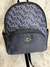 Backpack Coach en internet