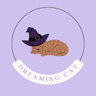 dreaming cat store