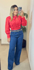 Blusa lesie manga longa