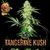 TANGERINE KUSH Fotoperiodica 3x +2 - tienda online