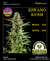 KIWANO KUSH Autoflorecientes x3 - comprar online
