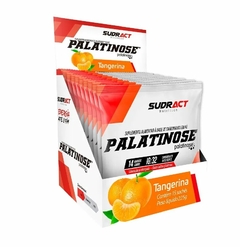 Palatinose Sudract Sache 15g