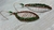 Ophelia Orbits Earrings - buy online