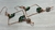 Mystic Melody Earrings - buy online