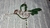 Wire Hummingbird Home Decor on internet