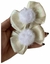 Parzinho Maria Helena com Pompom - comprar online