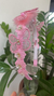 Tiara Borboletass Rosa na internet
