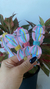 Tiara Lacinhos Color - loja online