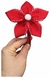 Tiara Flor Escolar - comprar online