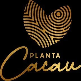 Planta Cacau e Chocolate