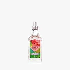 Spray Corporal Perfumado Bromélia 100ml - L'Occitane Au Brésil - comprar online