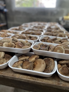 Cogumelo Shiitake 200g - comprar online
