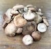 Cogumelo Shiitake 1kg