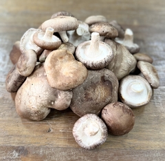 Cogumelo Shiitake 1kg