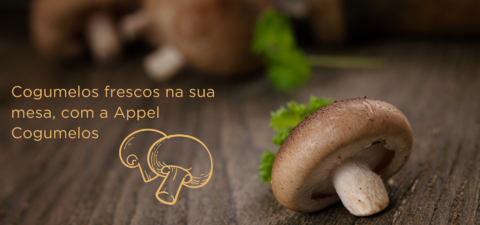 Imagem do banner rotativo appelcogumelos.com.br
