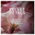 Velvet Petals Body Splash 250ml Victoria´s Secret - comprar online