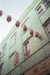 Chinatown
