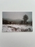 Postal Invierno