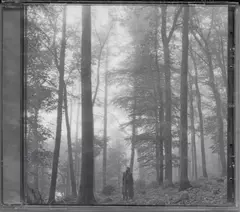 Taylor Swift - Folklore Cd - comprar en línea