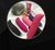 Vibrador Golfinho - comprar online