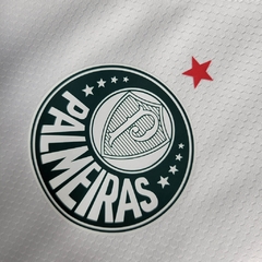 Palmeiras 23/24 na internet