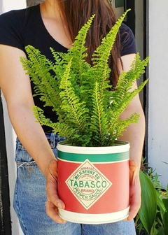 Maceta de Chapa con Diseño - comprar online