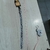 COLLAR-1.5 ANIMALIN HUESOX3 豹纹三骨油边38