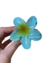 Presilha De Flor Para Cabelo Pinterest - Grande - Loja DeMakeup