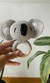 Amigurrumi Sonajero Koala en internet