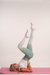 CALZA SAONA SEAMLESS PUSH UP VERDE - tienda online