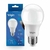 Lampada Led