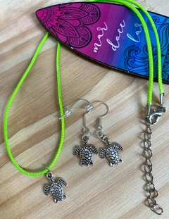 Conjunto Tartaruga na internet