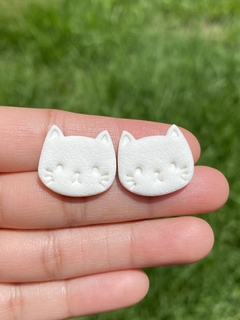 Stud gatitos en internet