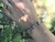 PULSEIRA AÇO INOX MANDALA - comprar online