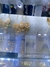 Joyero de girasol eterno + accesorios - That Cuarzo