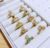 Anillos de princesa