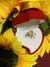 Caja de gamuza con anillo de girasol  - comprar en línea