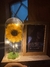 Girasol encapsulado eterno + portaretrato + collar giratorio - comprar en línea