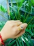 Anillo ajustable de Rapunzel - comprar en línea