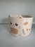 pocillos gato en internet
