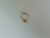 ANILLO VEAL en internet