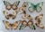 TRANSFOLEX COLOR (PLANCHA) Diseño Mariposas variadas