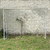 ARCO DE FUTBOL 5 en internet