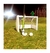 Arco de Hockey de Enteramiento con medidas de 60x40x43