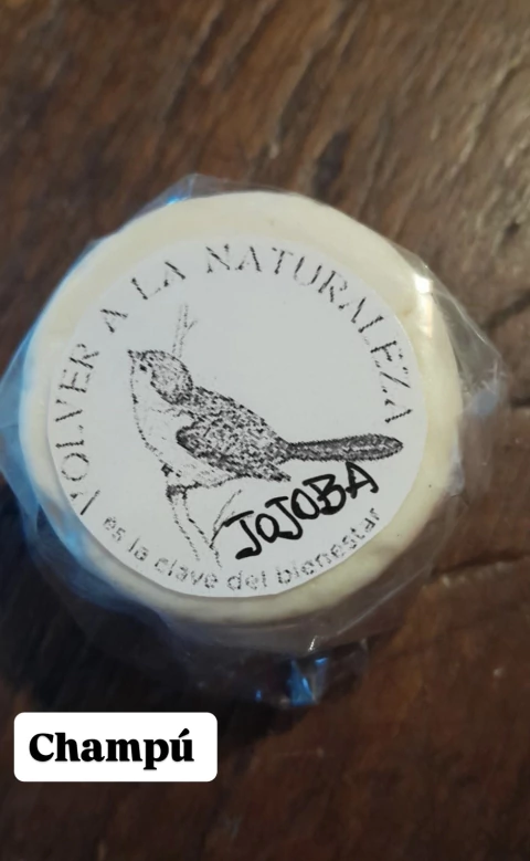 CHAMPU PARA TODO TIPO DE CABELLO