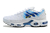 Nike Air Max Plus - loja online