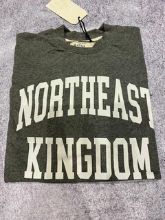 Buzo Northeast Kingdom en internet