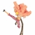 Doflamingo en internet